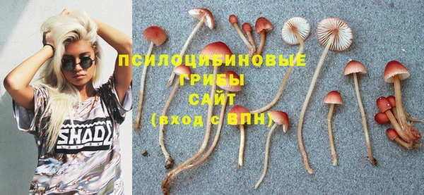 крисы Лихославль